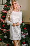 Sequin Long Sleeve Tie Waist Mini Dress - KaleaBoutique.com